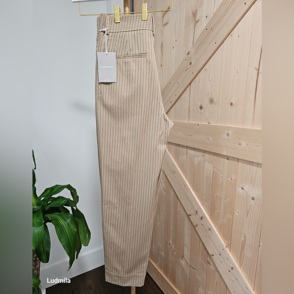 EVERLANE Size 6‎ Women’s Beige Pinstripe Pleated Pants - Picture 3 of 6